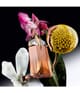 Produktbild 3 von 3, MUGLER Alien Eau de Parfum