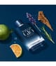 Produktbild 3 von 6, Giorgio Armani Acqua di Giò Homme Eau de Parfum
