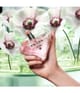 Prada Paradoxe Eau de Parfum 30 ml 3614274000610 visualImage