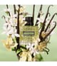 Valentino Born in Roma Eau de Parfum 30 ml 3614274024777 detailShot
