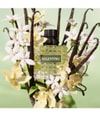 Zdjęcie produktu 3 z 5, Valentino Born in Roma Woda perfumowana