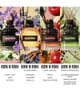 Valentino Born in Roma Woda toaletowa 50 ml 3614274024784 visual-shot_pl