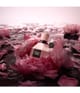 Produktbillede 6 af 6, Viktor & Rolf Flowerbomb Eau de Parfum