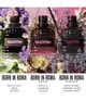 Zdjęcie produktu 4 z 6, Valentino Born in Roma Perfumy