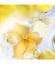 Produktbild 5 von 6, LANCÔME Les Ô Eau de Toilette