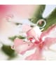 Produktbild 5 von 6, LANCÔME Les Ô Eau de Toilette