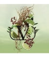 Produktbild 3 von 5, Valentino Born in Roma Eau de Toilette