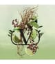 Produktbild 3 von 5, Valentino Born in Roma Eau de Toilette