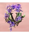 Produktbild 3 von 5, Valentino Born in Roma Eau de Toilette