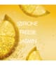Produktbild 3 von 6, BIOTHERM Eau Vitaminée Eau de Toilette