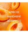 Produktbild 3 von 6, BIOTHERM Eau Vitaminée Eau de Toilette