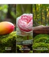 Produktbillede 4 af 5, Marc Jacobs Daisy Eau de Parfum