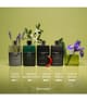 Gucci Guilty Eau de Parfum 60 ml 3616304175893 visual2-shot_de