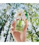 Marc Jacobs Daisy Eau de Parfum 30 ml 3616304254871 visual2-shot_se