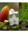 Produktbild 4 von 6, Marc Jacobs Daisy Eau de Parfum