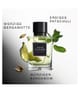 Produktbillede 5 af 6, David Beckham Instinct Eau de Parfum