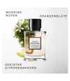 Produktbillede 5 af 6, David Beckham Follow Your Instinct Eau de Parfum