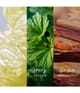 Zdjęcie produktu 4 z 6, Mexx Inspired Nature Woda perfumowana