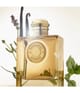 Produktbild 4 von 6, Burberry Goddess Eau de Parfum