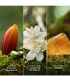 Produktbild 4 von 6, Marc Jacobs Daisy Eau de Parfum