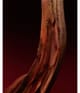 HUGO BOSS BOSS The Scent Parfum 50 ml 3616305040626 visual-shot_de