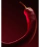 HUGO BOSS BOSS The Scent Parfum 50 ml 3616305040626 visual3-shot_de