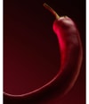 Image du produit 6 sur 6, HUGO BOSS BOSS The Scent Parfum