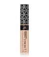 Produktbillede 1 af 6, Manhattan Multi-Tasker Concealer