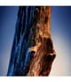 Davidoff Cool Elixir Deodorant Spray 150 ml 3616305277459 detail-shot_de
