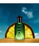 HUGO BOSS BOSS Bottled Eau de Parfum 50 ml 3616305821072 detail-shot_de