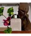 Produktbild 4 von 6, Calvin Klein Eternity Parfum