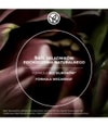 Zdjęcie produktu 6 z 6, Yves Rocher Repair-Shampoo Szampon do włosów