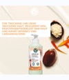 Zdjęcie produktu 2 z 5, Yves Rocher Pflegende Körpermilch Mleczko do ciała