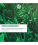 Produktbild 3 von 6, Yves Rocher Hydra Végétal Gesichtsmaske