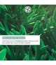 Productafbeelding 3 van 6, Yves Rocher Hydra Végétal Gezichtsmasker