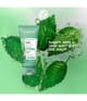Zdjęcie produktu 2 z 6, Yves Rocher Pure menthe Peeling do twarzy
