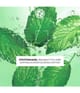 Zdjęcie produktu 3 z 6, Yves Rocher Pure menthe Peeling do twarzy