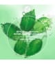Zdjęcie produktu 6 z 6, Yves Rocher Pure menthe Peeling do twarzy