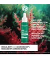 Produktbild 2 von 6, Yves Rocher Sebo Active Clear Gesichtsserum