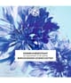 Produktbild 3 von 6, Yves Rocher Pur Bleuet Augenmake-up Entferner