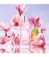 Zdjęcie produktu 2 z 5, Yves Rocher L'Evidence Woda perfumowana