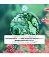 Produktbild 3 von 6, Yves Rocher Sebo Active Clear Gesichtscreme