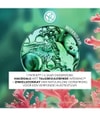 Productafbeelding 3 van 6, Yves Rocher Sebo Active Clear Gezichtscrème
