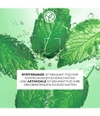 Produktbild 3 von 6, Yves Rocher Pure Menthe Gesichtsseife