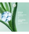 Produktbild 3 von 6, Yves Rocher Hydra Water-Plump Gesichtsserum