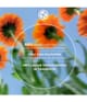 Productafbeelding 6 van 6, Yves Rocher Glans Shampoo Bar