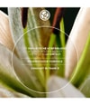 Productafbeelding 6 van 6, Yves Rocher Gold-Lilie Oogschaduwpalette