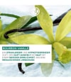 Produktbild 3 von 6, Yves Rocher Vanille Bourbon Duschgel