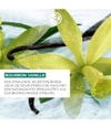 Productafbeelding 3 van 6, Yves Rocher Bourbonvanille Body Milk