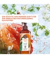 Produktbild 2 von 6, Yves Rocher Mango & Koriander Body Milk